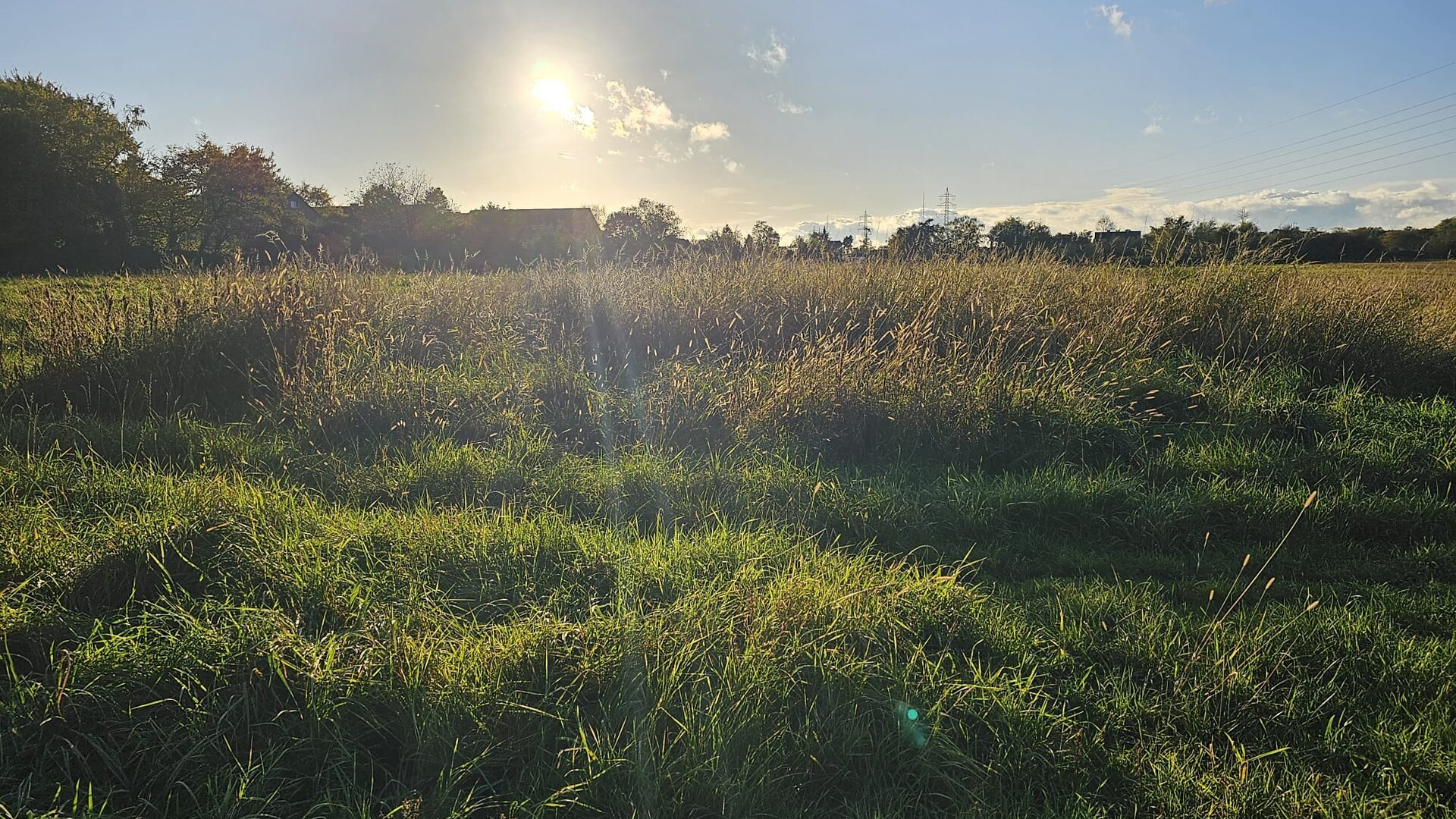 Blick über Wiese | © Quasselstripper