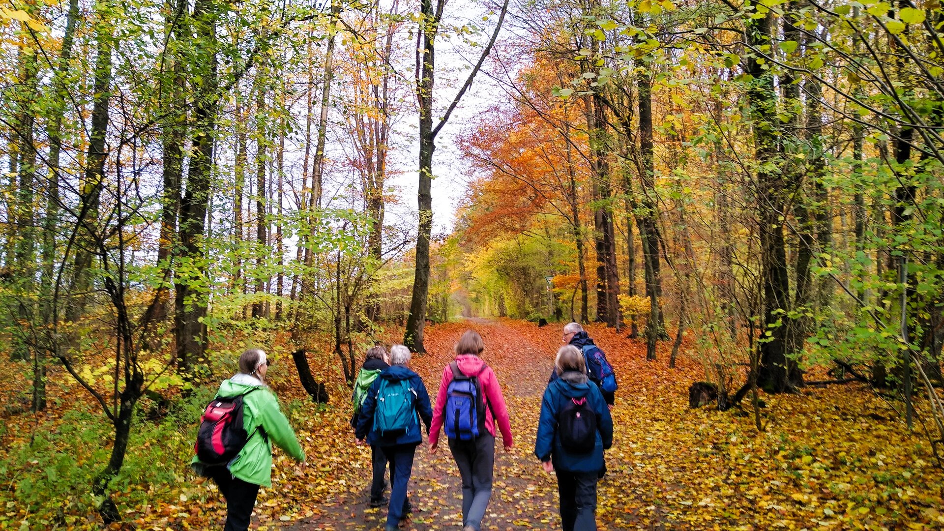 Gruppe im Herbstwald | © Holger Rüsberg