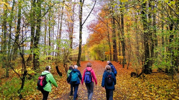 Gruppe im Herbstwald | © Holger Rüsberg