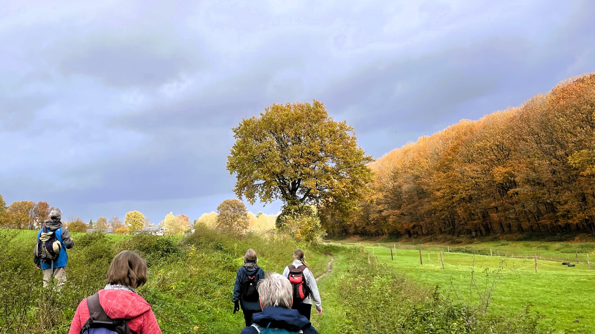 Herbstbäume Castrop | © Holger Rüsberg