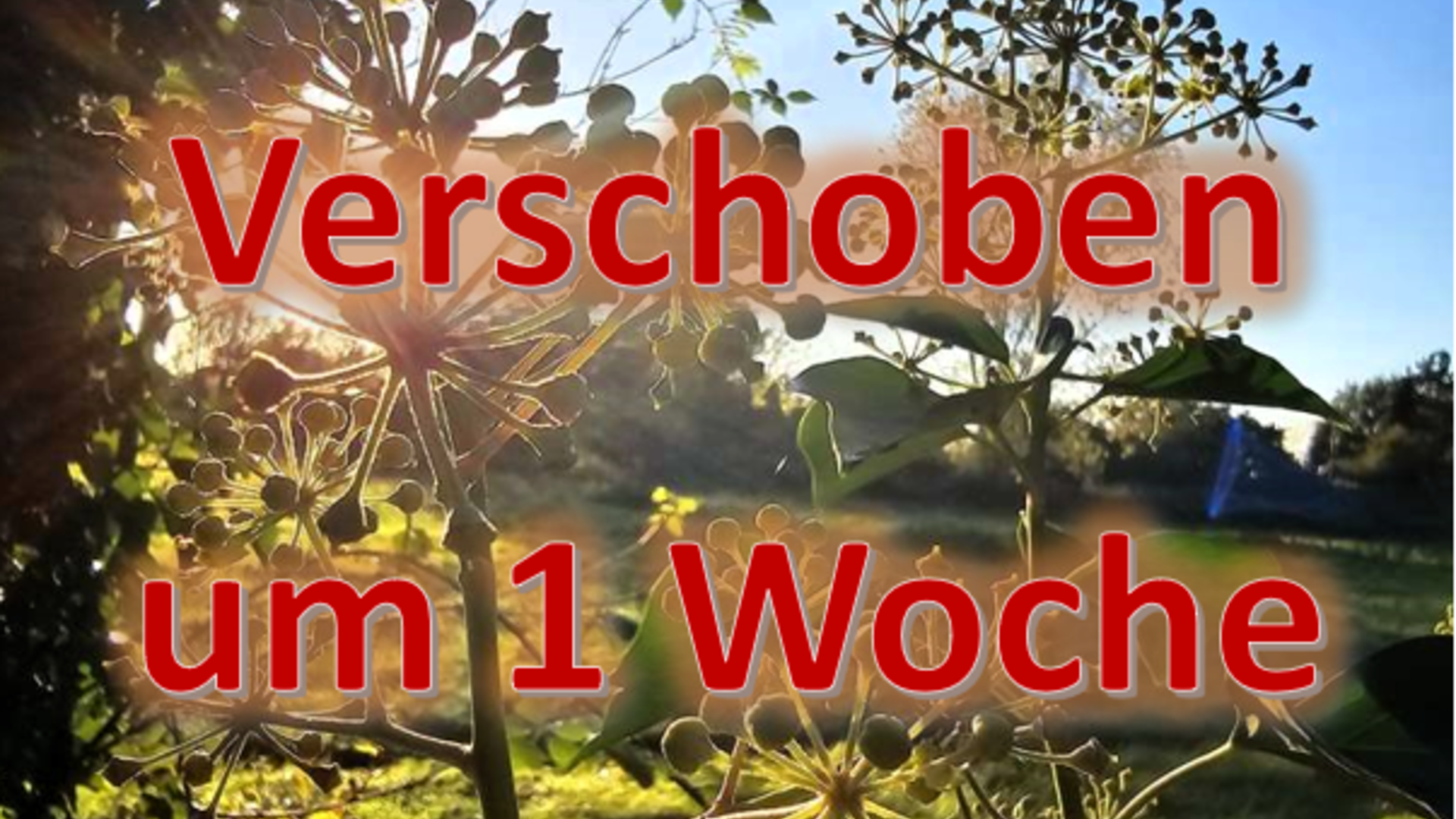 Verschoben um 1 woche | © Holger Rüsberg